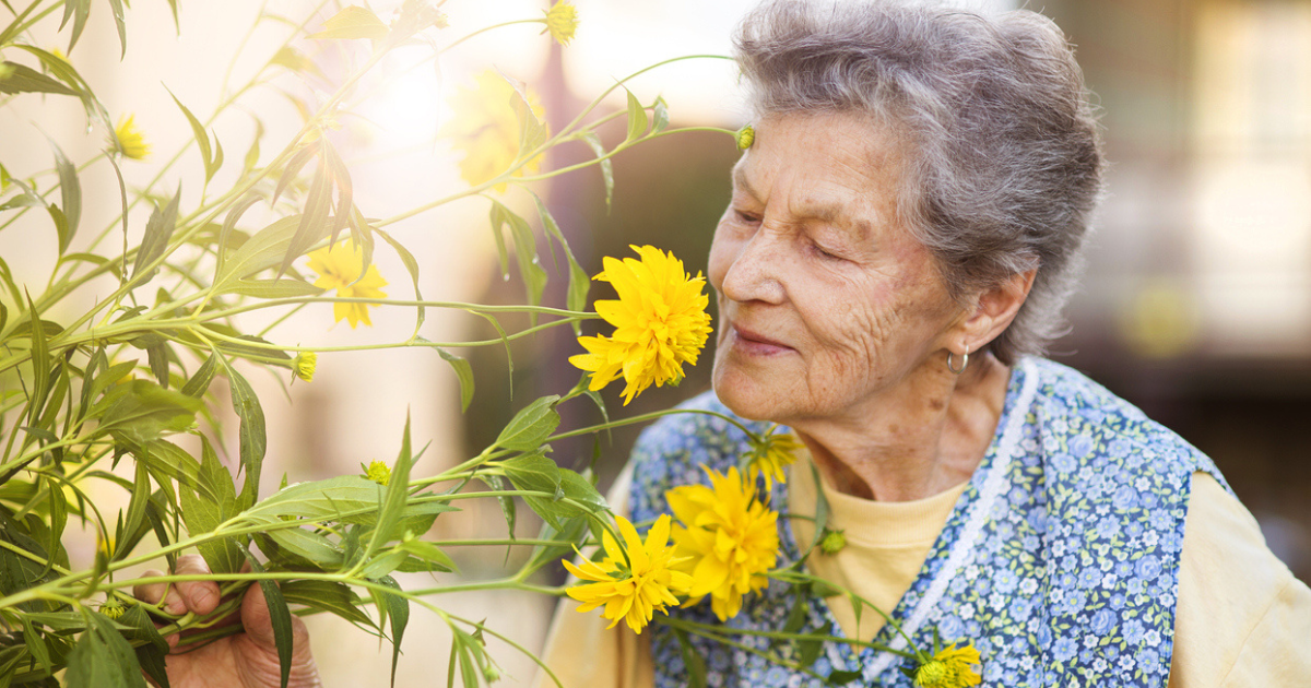 Spring Home Health Care Plan